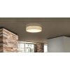 Globo PACO Ceiling Light LED matt nickel, 1-light source, Remote control