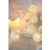 Globo rope lights LED white, 20-light sources