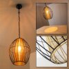 Delhi pendant light black-gold, 1-light source