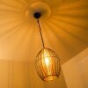 Delhi pendant light black-gold, 1-light source