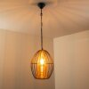 Delhi pendant light black-gold, 1-light source