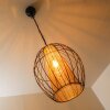 Delhi pendant light black-gold, 1-light source
