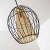 Delhi pendant light black-gold, 1-light source