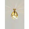 Holländer PROSPERO Ceiling light brown, gold, black, 1-light source