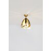 Holländer PROSPERO Ceiling light brown, gold, black, 1-light source