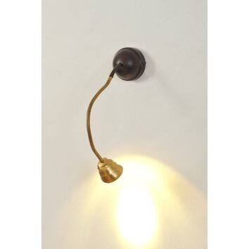 Holländer SNAIL TWO Wall Light brown, gold, black, 1-light source