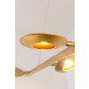 Holländer SIMULATORE Pendant Light LED gold, 6-light sources