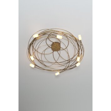 Holländer CITTADELLA Ceiling light gold, 8-light sources