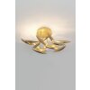 Holländer REGATTA Ceiling light LED gold, 9-light sources