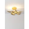 Holländer REGATTA Ceiling light LED gold, 9-light sources