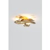 Holländer CONTROVERSIA Wall Light LED gold, 5-light sources