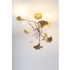 Holländer GRACIOSO Pendant Light LED gold, 6-light sources