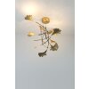 Holländer GRACIOSO Pendant Light LED gold, 6-light sources
