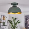 VIVIAN Ceiling Light green, 1-light source