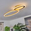 DEROCHE Ceiling Light LED gold, black, 1-light source