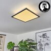 BARASAT Ceiling Light LED black, white, 2-light sources