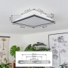 BARASAT Ceiling Light LED black, white, 2-light sources