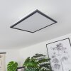 BARASAT Ceiling Light LED black, white, 2-light sources
