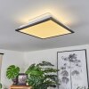 BARASAT Ceiling Light LED black, white, 2-light sources