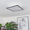 BARASAT Ceiling Light LED black, white, 2-light sources