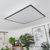 BARASAT Ceiling Light LED black, white, 2-light sources