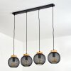 REIDEN Pendant Light black, 4-light sources
