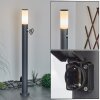 CASERTA path light anthracite, 1-light source, Motion sensor
