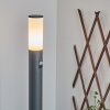 CASERTA path light anthracite, 1-light source, Motion sensor