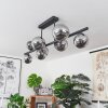 CHEHALIS Ceiling Light LED black, 9-light sources