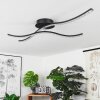 RHEINFELDEN Ceiling Light LED black, 1-light source