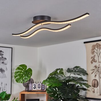 RHEINFELDEN Ceiling Light LED black, 1-light source