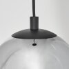 SERNF Pendant Light black, 1-light source