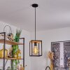 COLEBROOK Pendant Light black, 1-light source