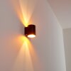 Wall Light Letsbo black-gold, 1-light source