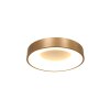 Steinhauer RINGLEDE Ceiling Light gold, 1-light source