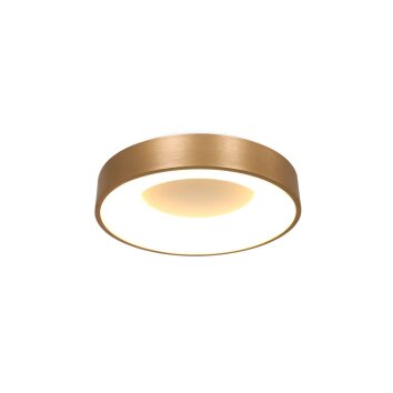 Steinhauer RINGLEDE Ceiling Light gold, 1-light source