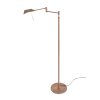 Steinhauer RETINA Floor Lamp LED bronze, 1-light source