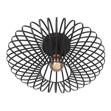 Steinhauer DUNBAR Ceiling Light black, 1-light source