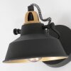 Steinhauer NOVÉ Wall Light gold, black, 1-light source