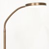 Steinhauer PLATU Floor Lamp LED bronze, 1-light source
