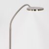 Steinhauer PLATU Floor Lamp LED stainless steel, 1-light source