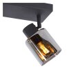 Lucide ALION Ceiling Light black, 2-light sources