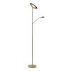 Lucide ZENITH Floor Lamp LED gold, brass, 1-light source