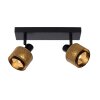 Lucide RAFA Ceiling Light black, 2-light sources