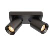 Lucide NIGEL Ceiling Light LED stainless steel, black, 2-light sources