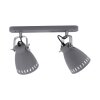 Leuchten-Direkt EVA Ceiling Light grey, 2-light sources