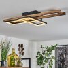 AYAJASCO Ceiling Light LED Ecru, black, 1-light source