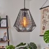 CASSILS Pendant Light black, 1-light source