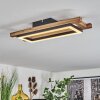 AYAJASCO Ceiling Light LED Ecru, black, 1-light source