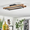 AYAJASCO Ceiling Light LED Ecru, black, 1-light source